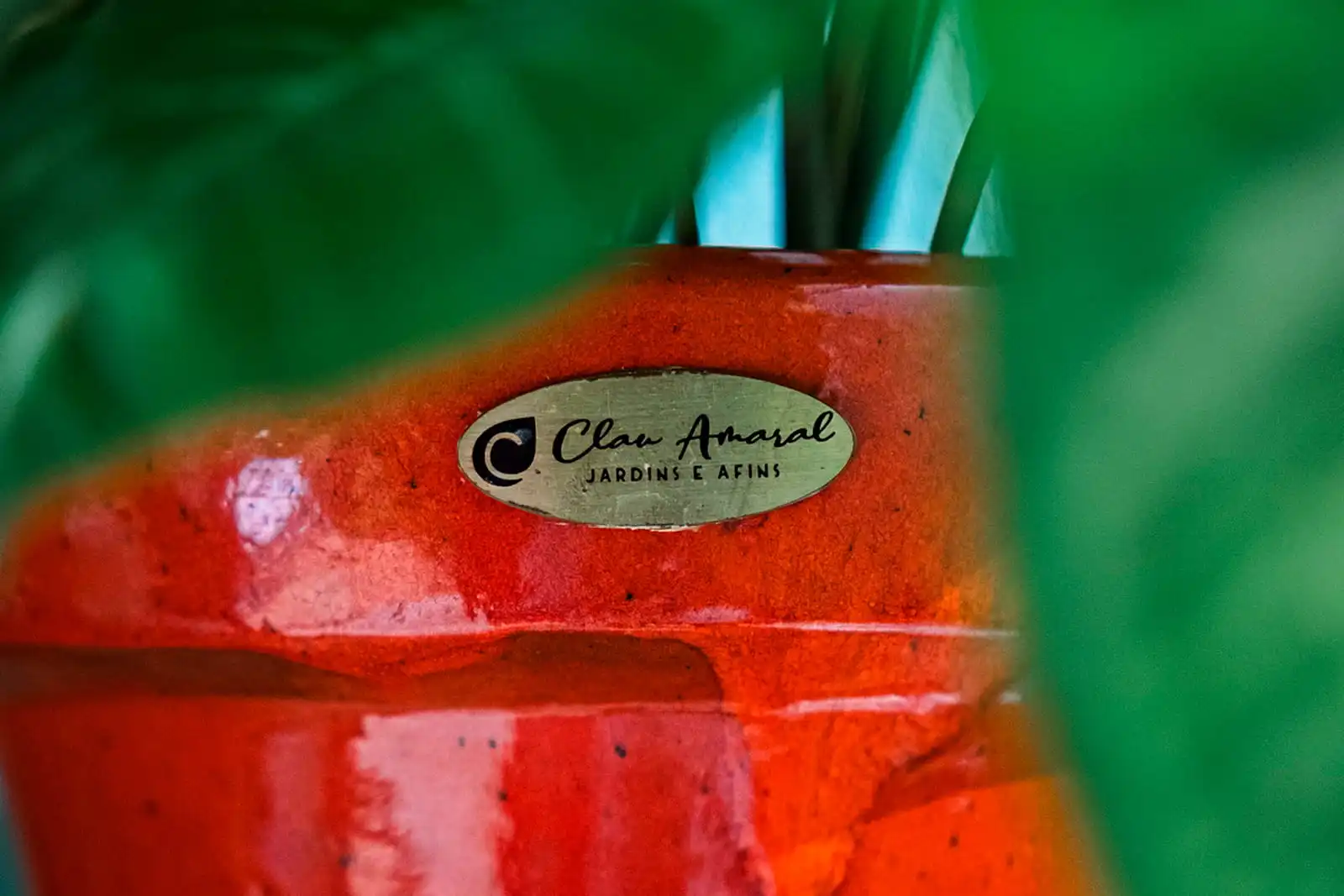 Clau Amaral — 2